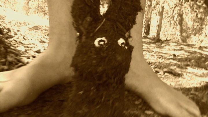 The Blair Rabbit Project Review