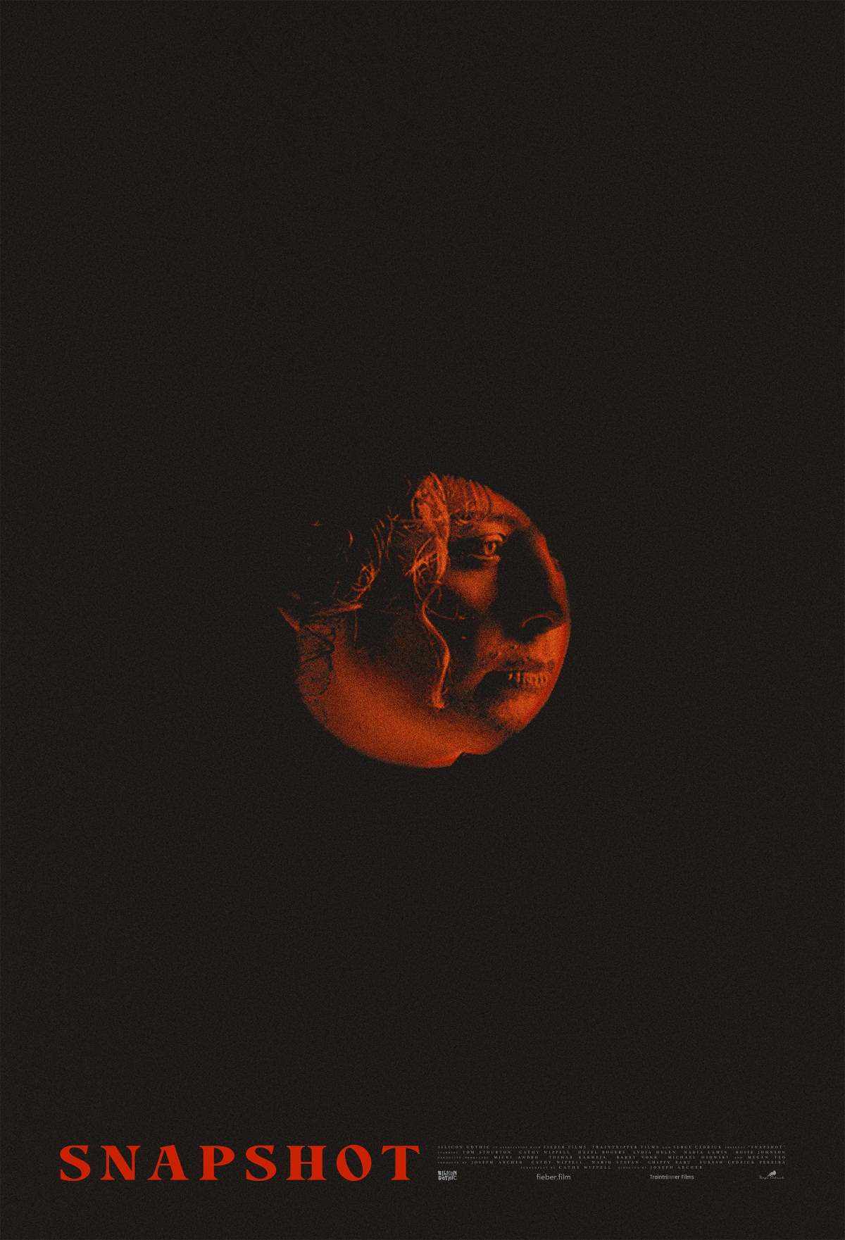 Snapshot movie poster